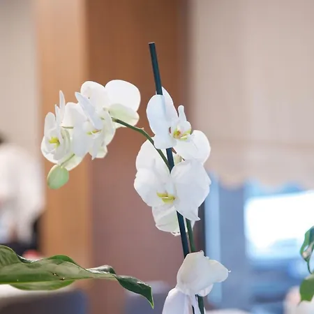 The Tango Taksim 4* Stambuł