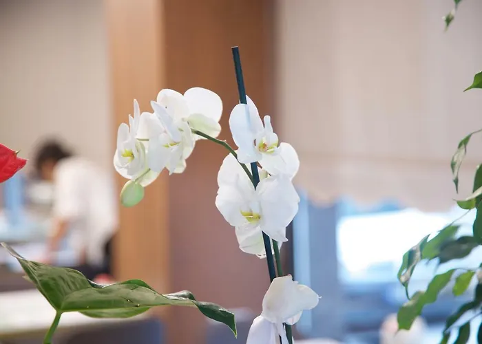 The Tango Taksim 4* Istanbul